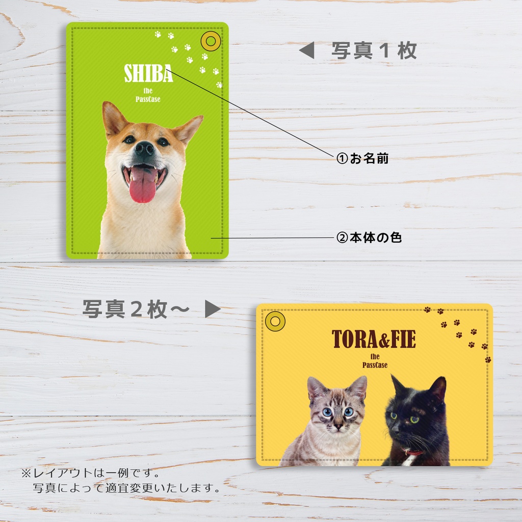 お好きな写真で! うちの子カラフルパスケース 定期入れ メンズ カードケース 猫 犬 うさぎ
