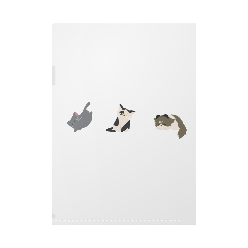 キャットスペース