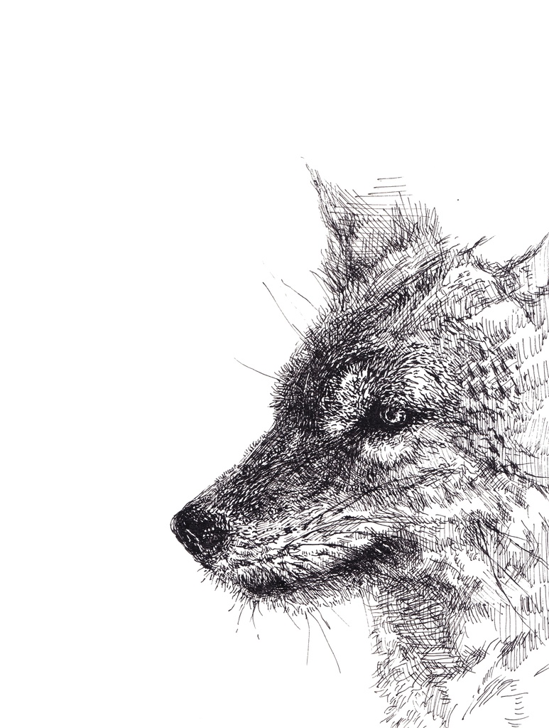 オオカミ iPhoneケース