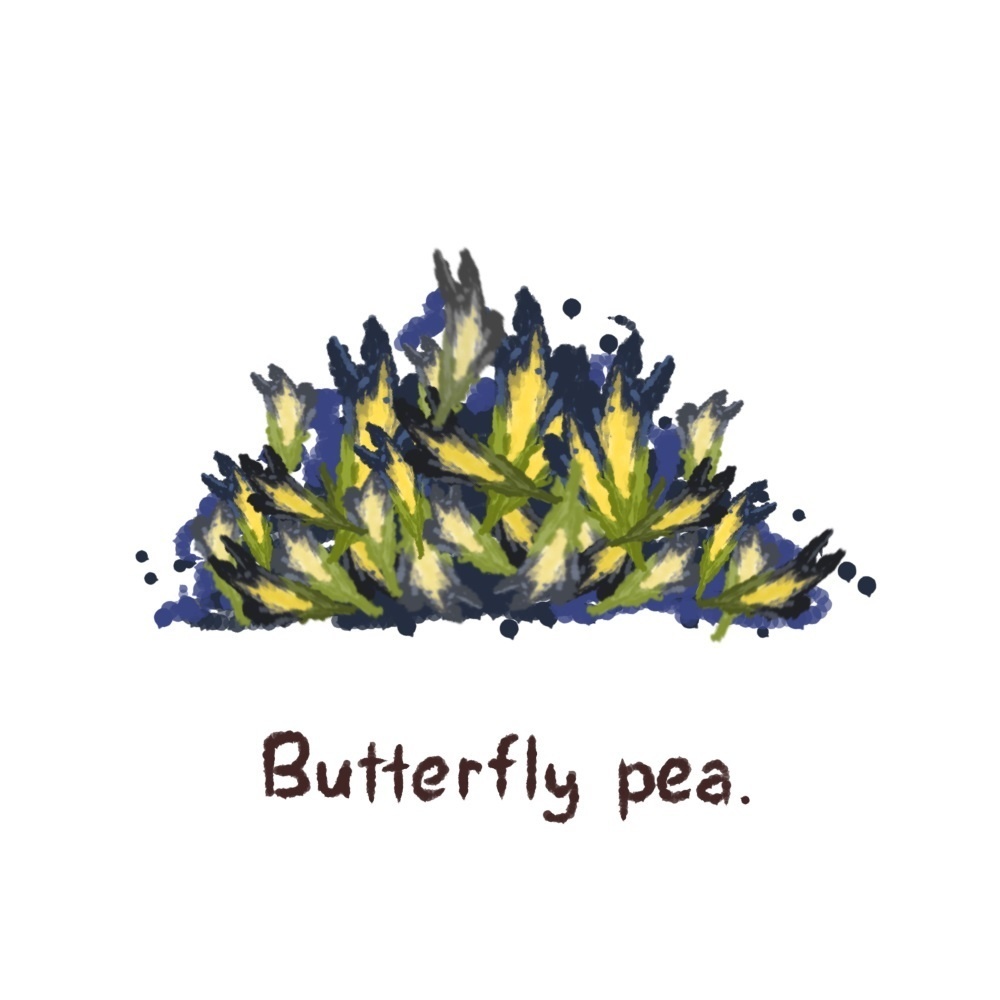 ハーブ・エッセンシャルオイル・スパイス・アロマの手描き風イラスト70種類プラスα【商用可能素材】