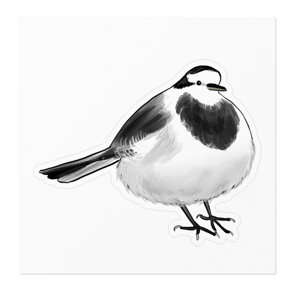 ハクセキレイ_ステッカー1