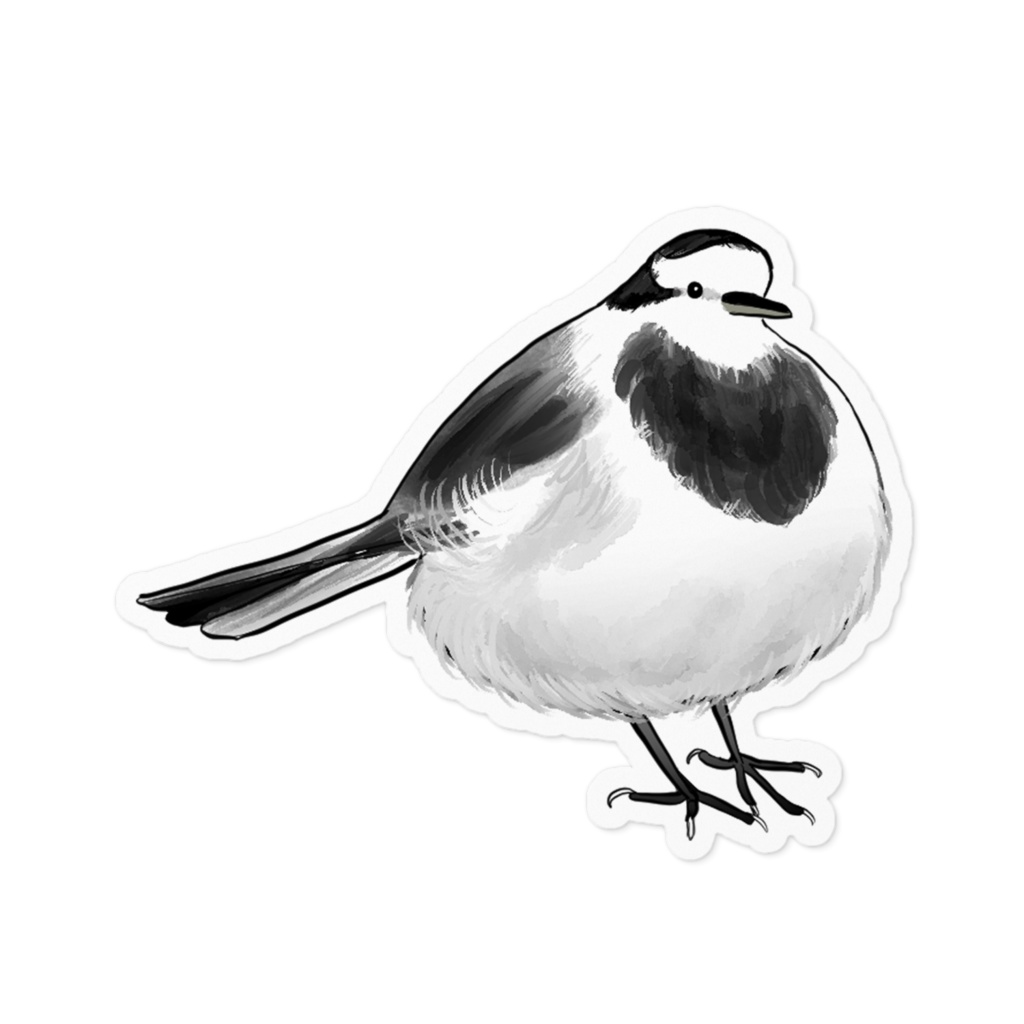 ハクセキレイ_ステッカー1