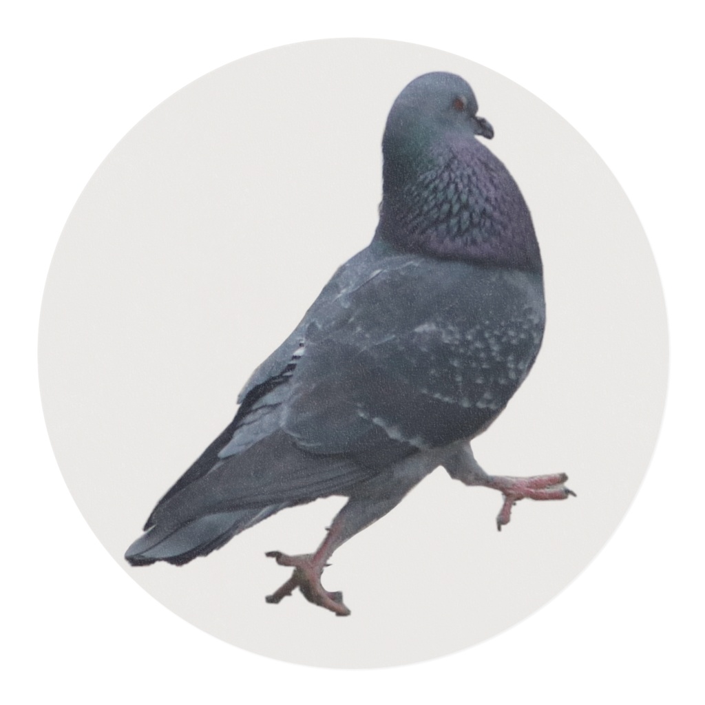 ハト_マスキングテープ