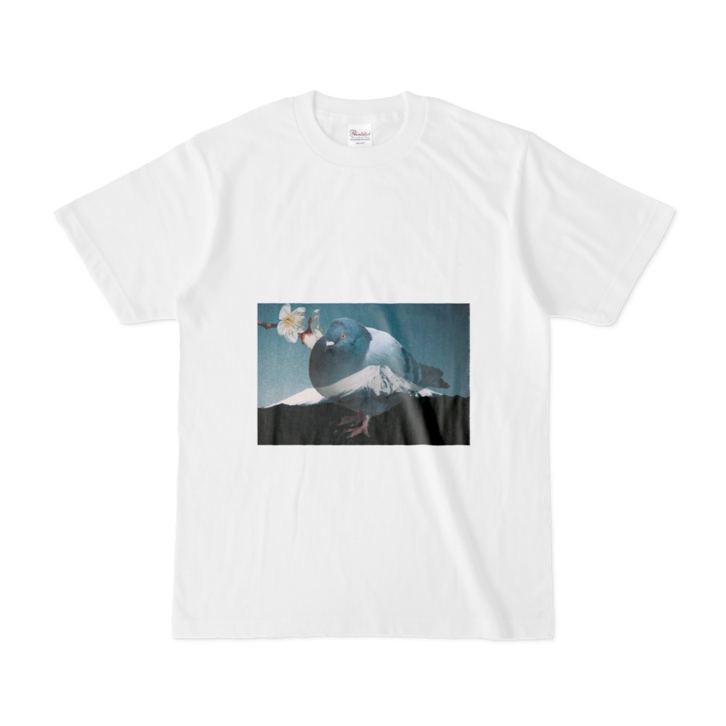 ハトTシャツ＿和風編