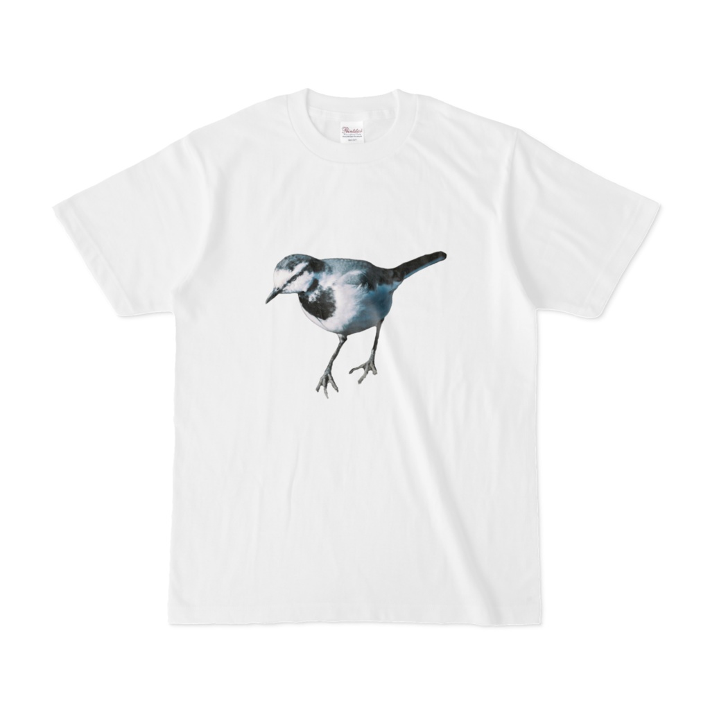 ハクセキレイ＿Tシャツ＿ガンつけ編
