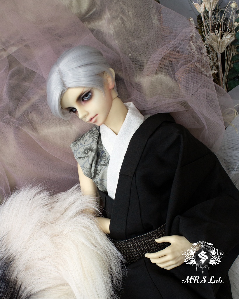 ドールウィッグ 耐熱:Side Part Short サイドパートショート シルバー 8-9 inch