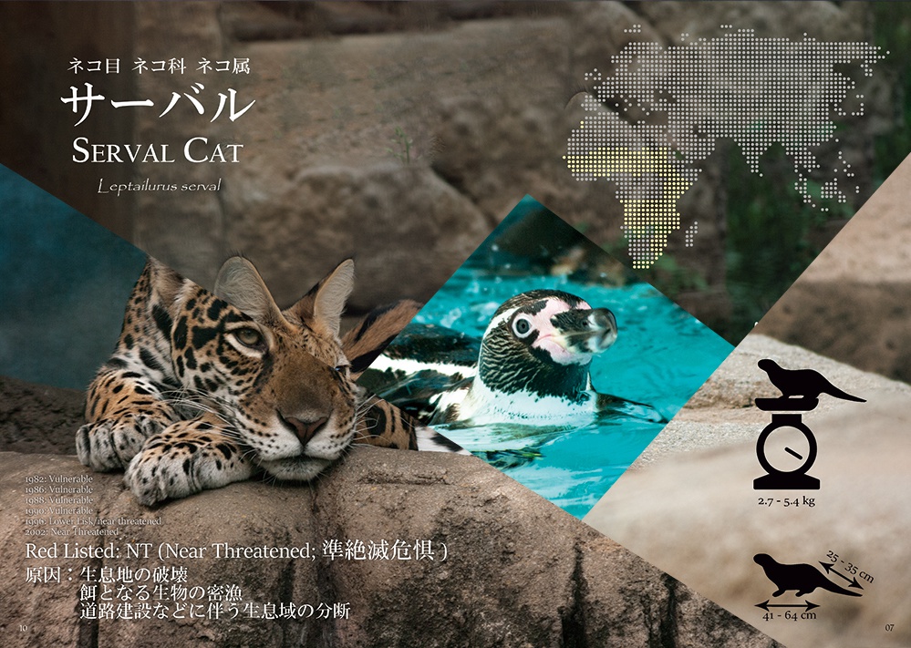 実写版けものフレンズ #1