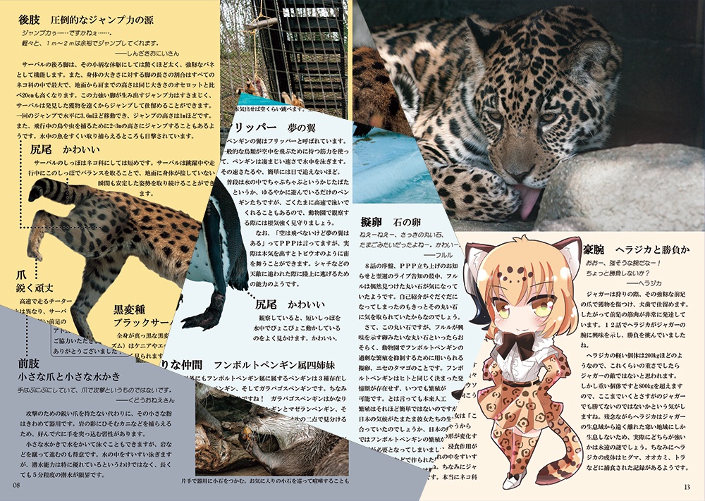 実写版けものフレンズ #1