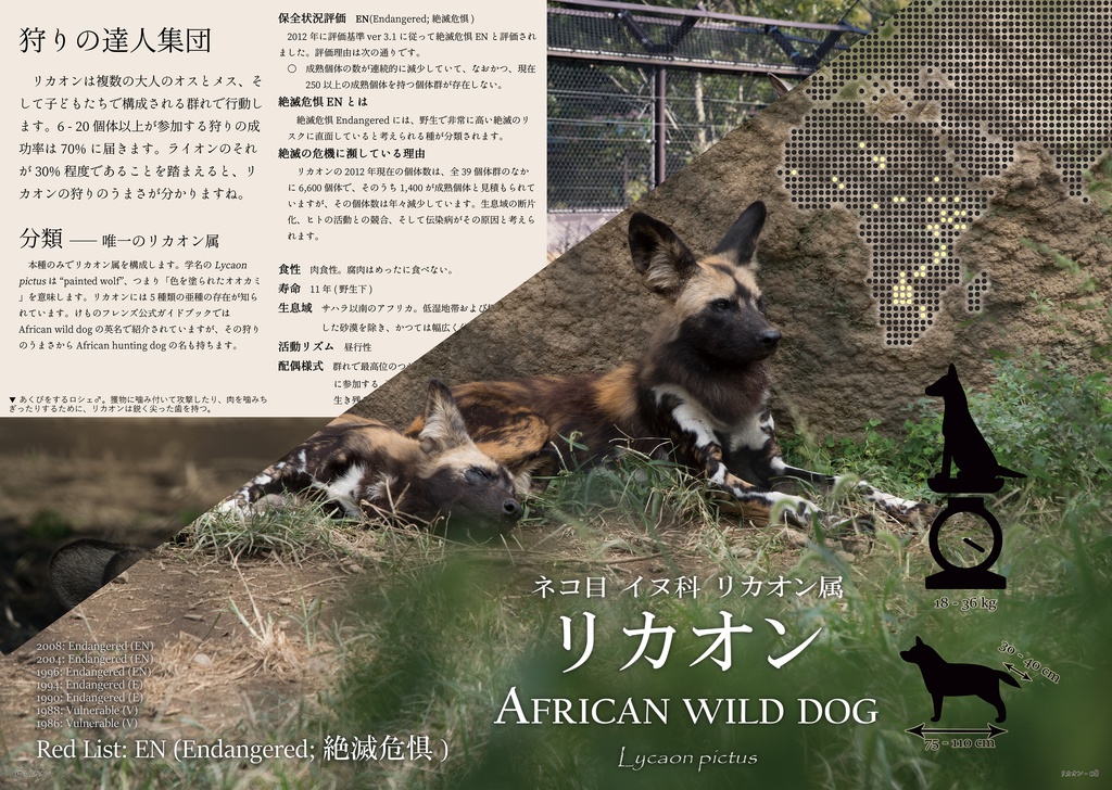 実写版けものフレンズ #2