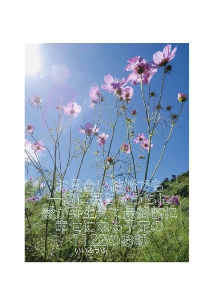 君との距離を縮めたい+ お見合い結婚でも一緒に暮らすうちに愛が芽生えて最終的に 幸せになる予定の1122のお話しセット