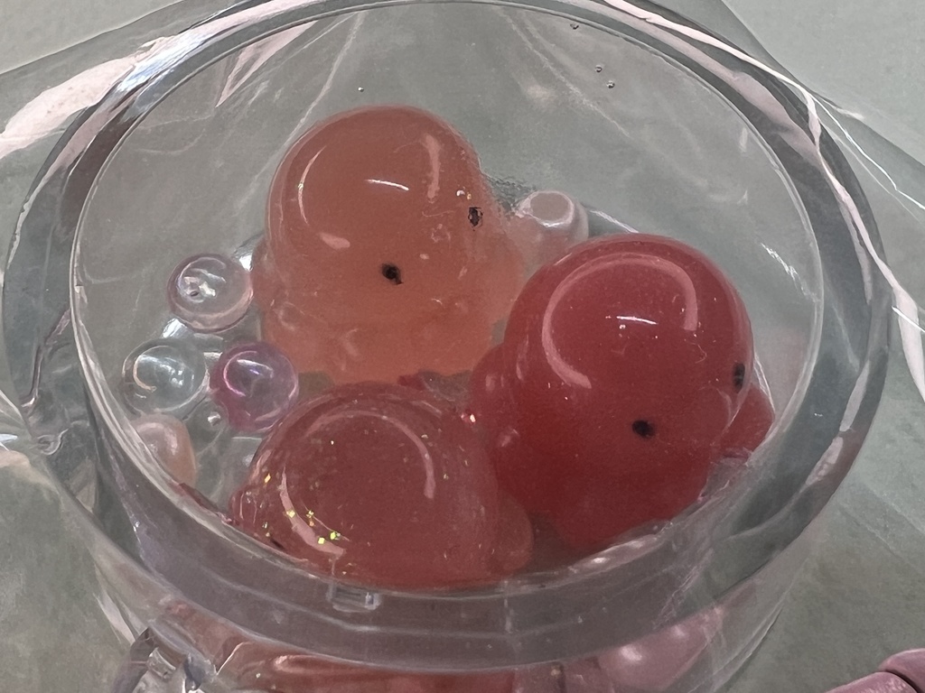 500円のおさかな