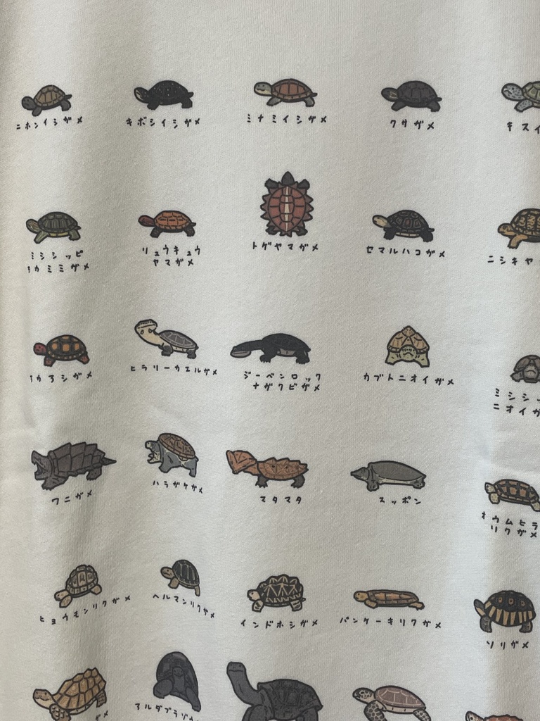 【スウェット】カメがいっぱい