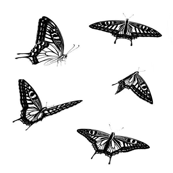 SAI2用ナミアゲハ蝶ブラシ