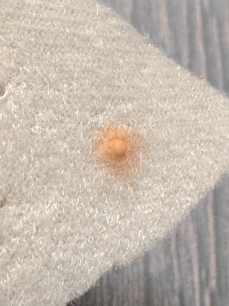 ぷにぷに乳首付きぬいぐるみの筋肉の作り方