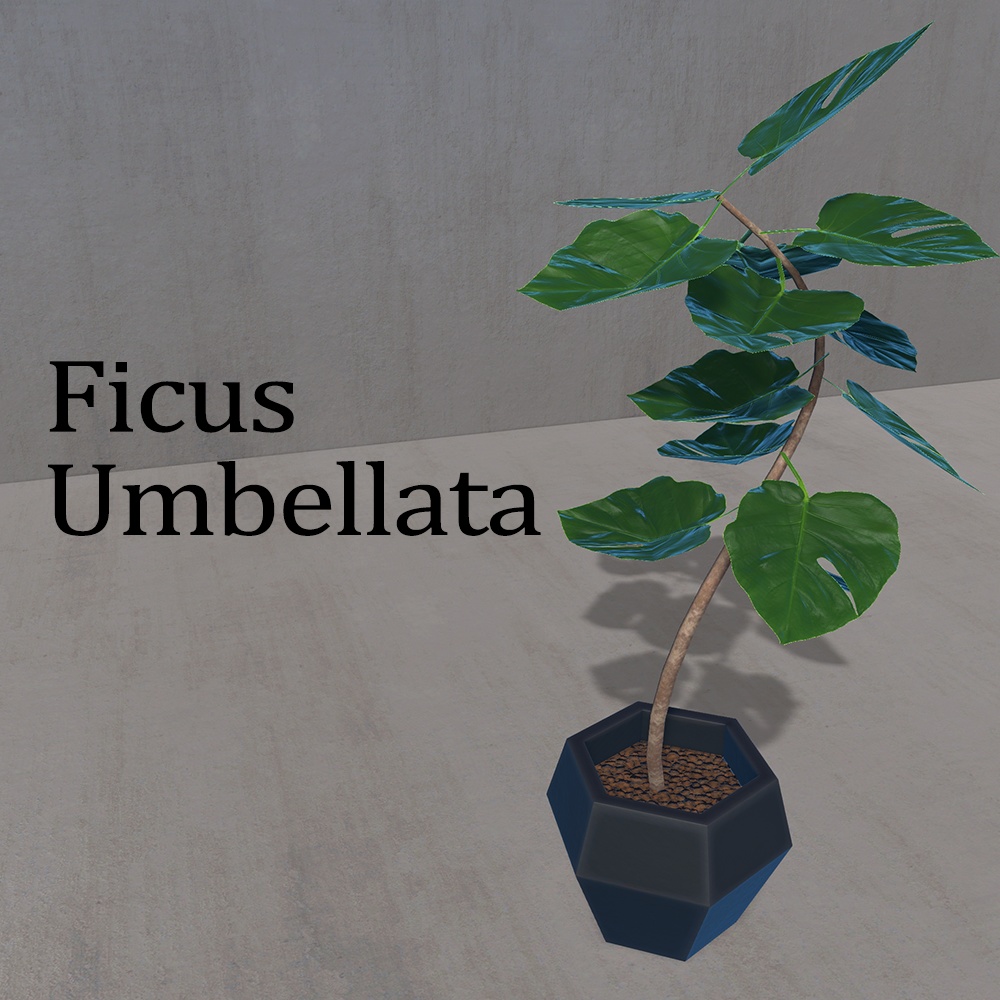 【無料】La Fille Green Set