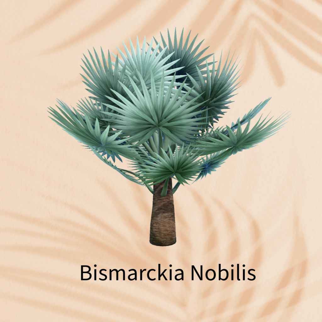 【無料】La Fille Tropical Green Set