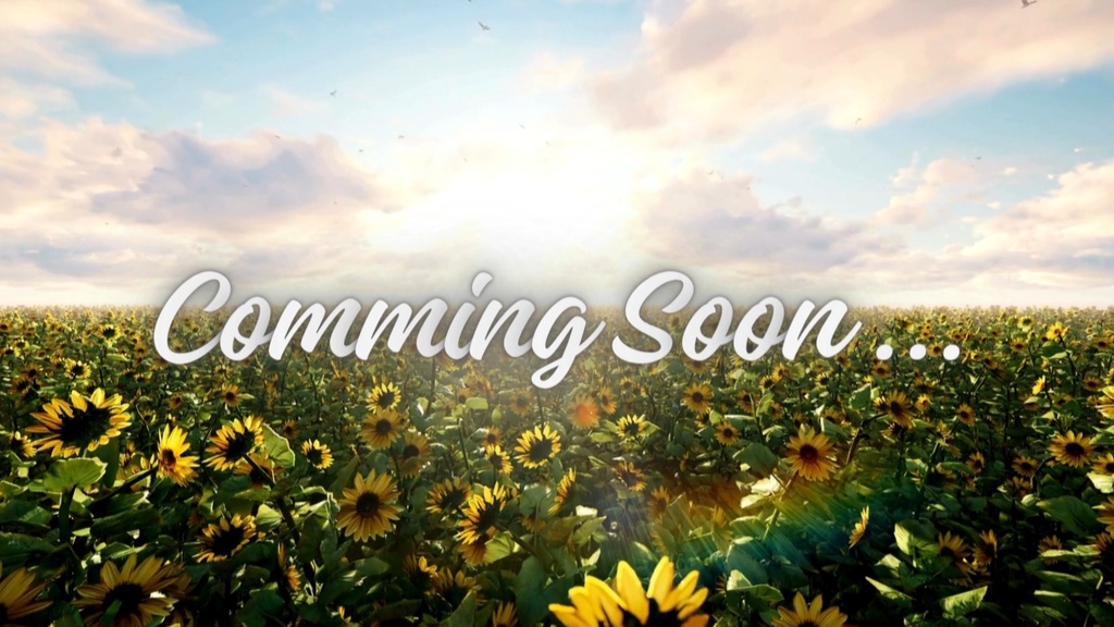 【配信者向け・動く素材】ひまわりの配信待機動画