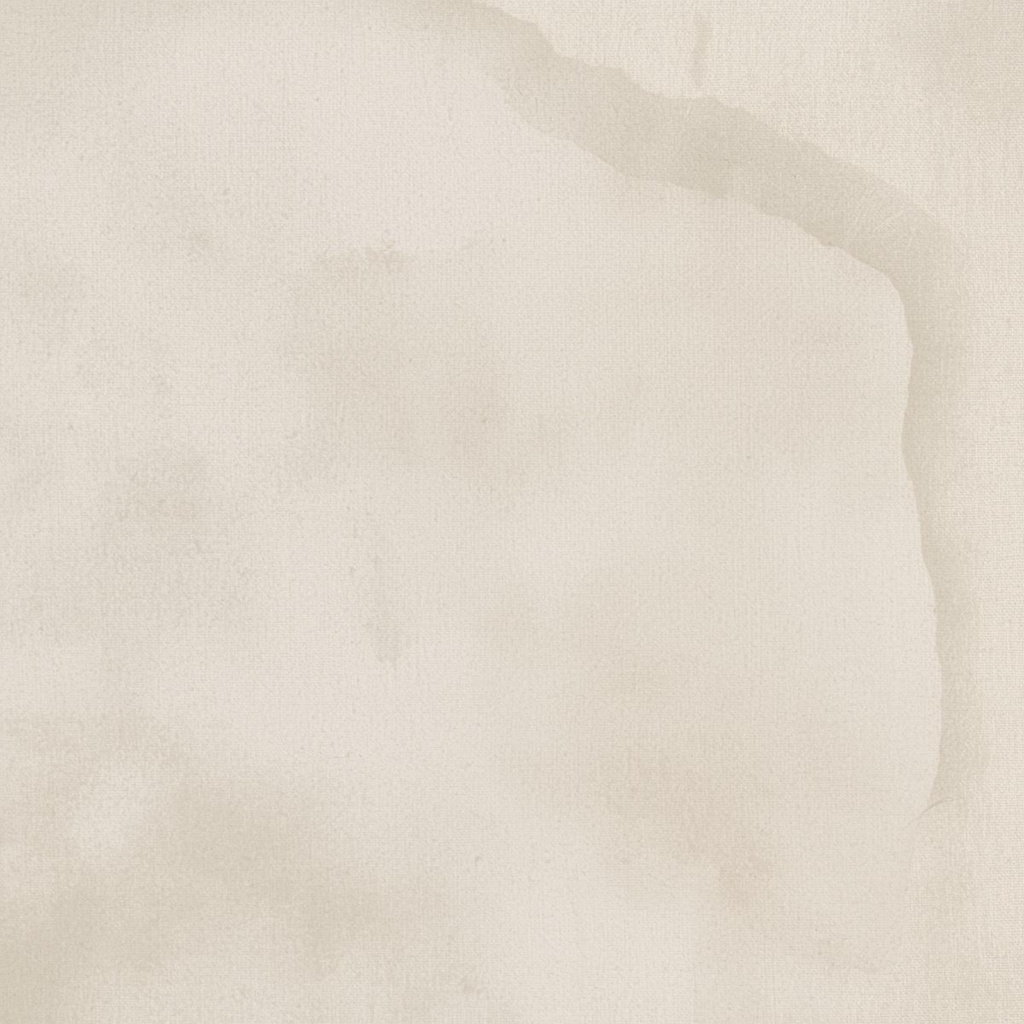 【hakulis】ナチュラルボタニカル デジタルペーパー 9枚セット|パンパスグラス×水彩テクスチャ|PNG