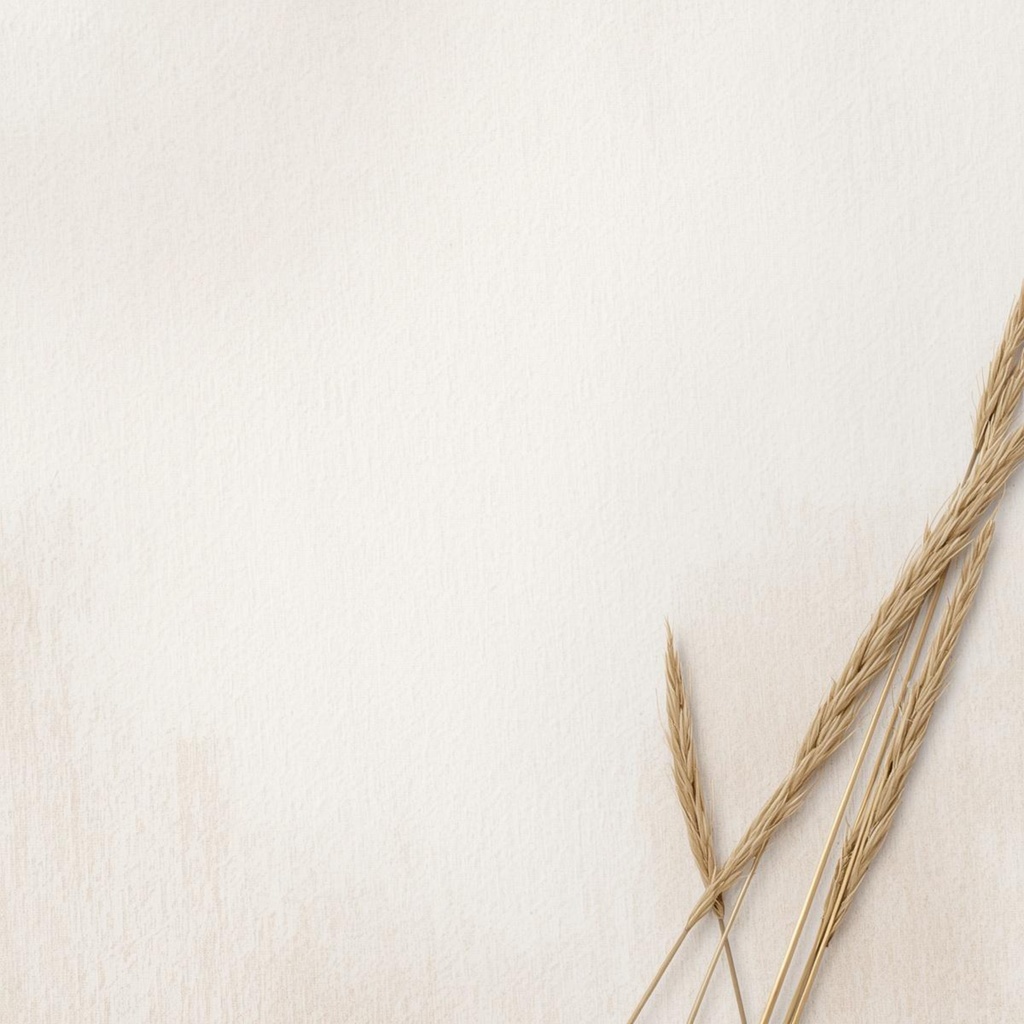 【hakulis】ナチュラルボタニカル デジタルペーパー 9枚セット|パンパスグラス×水彩テクスチャ|PNG