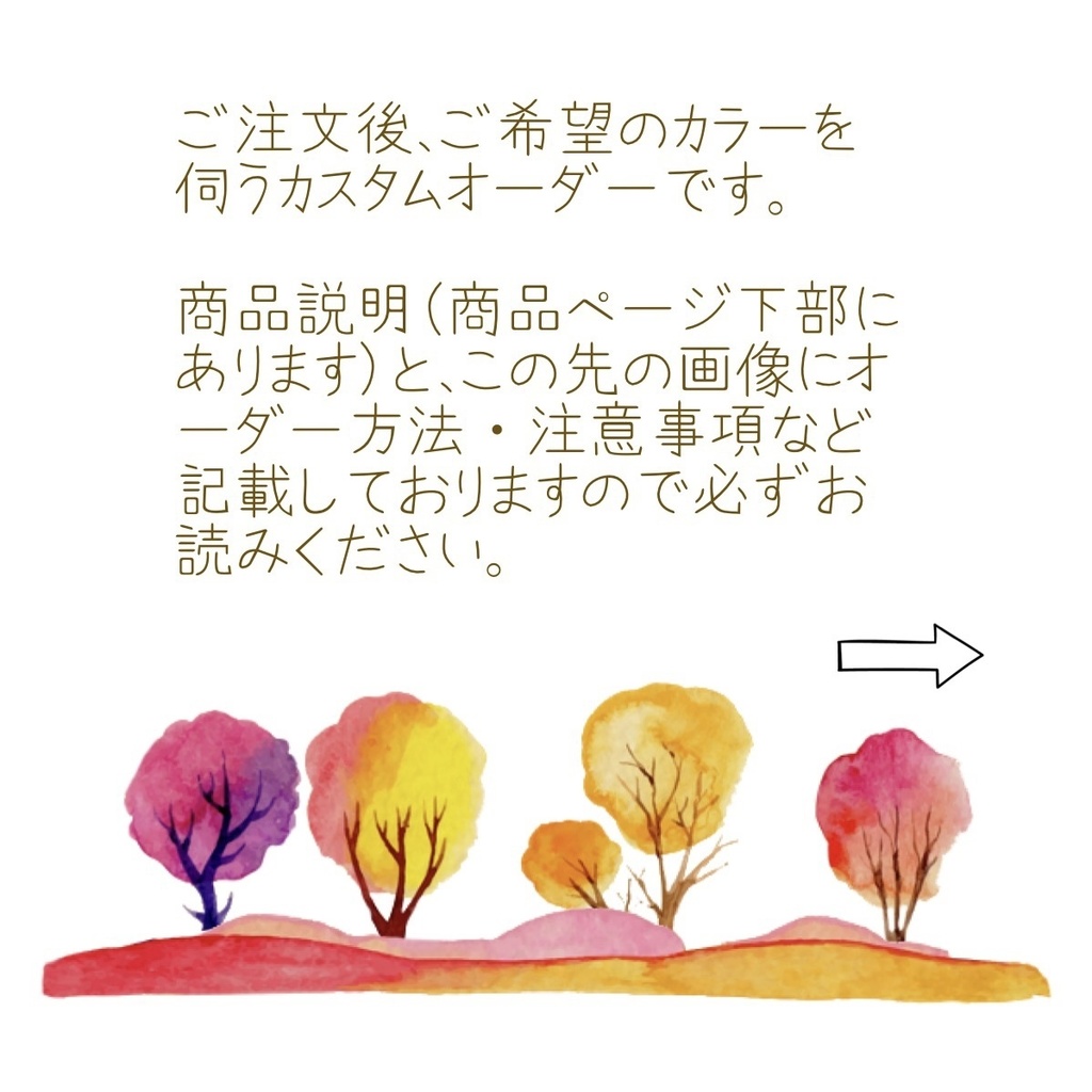 【受注製作】カスタムパーカー