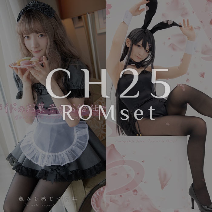 CH25新刊ROMセット(ROM2種類)