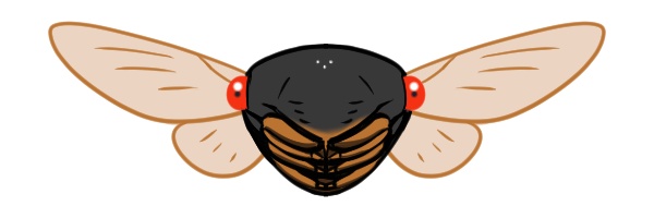 周期ゼミ(デフォルメ)セット