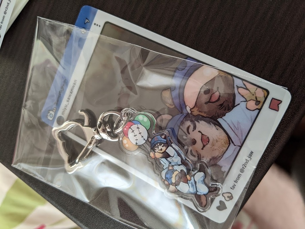 けもみさわ風船旅行セット:匿名配送版