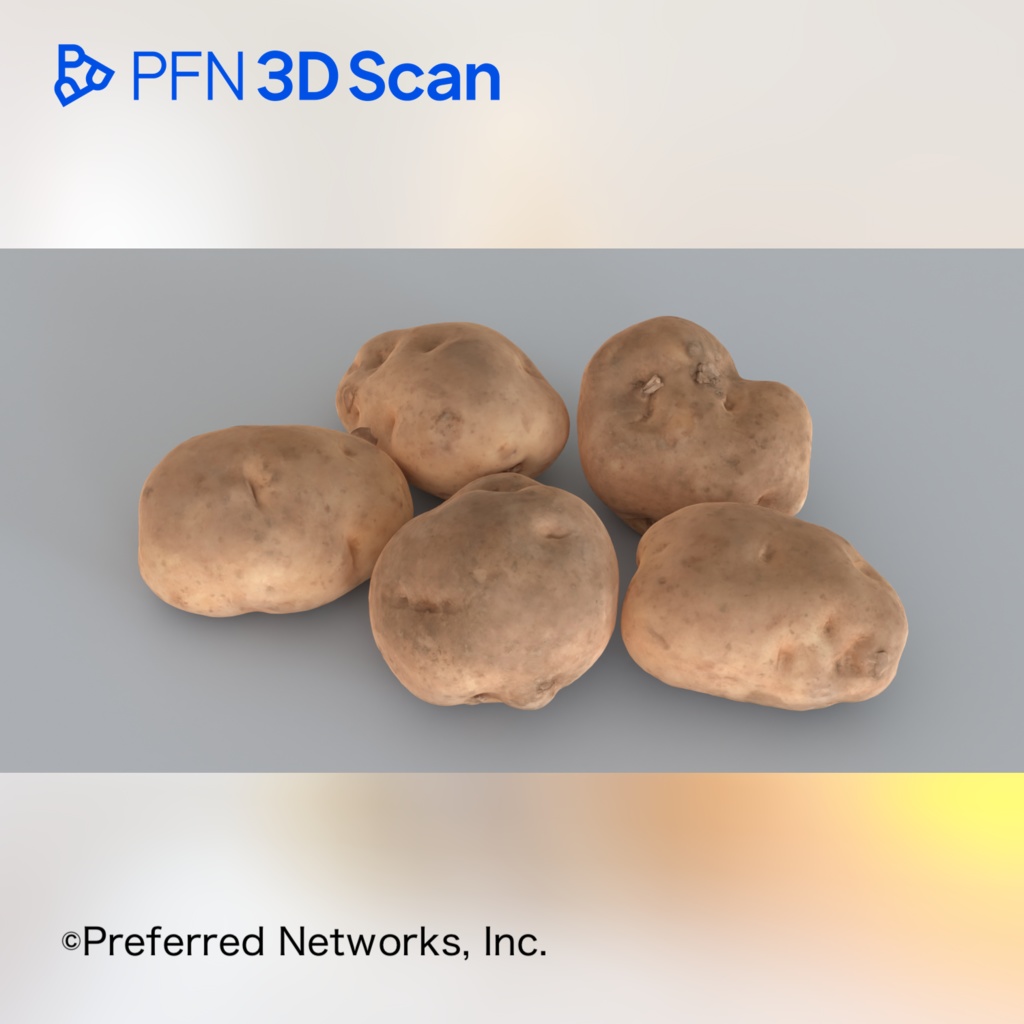 【PFN 3D Scan】じゃがいも（5点セット）