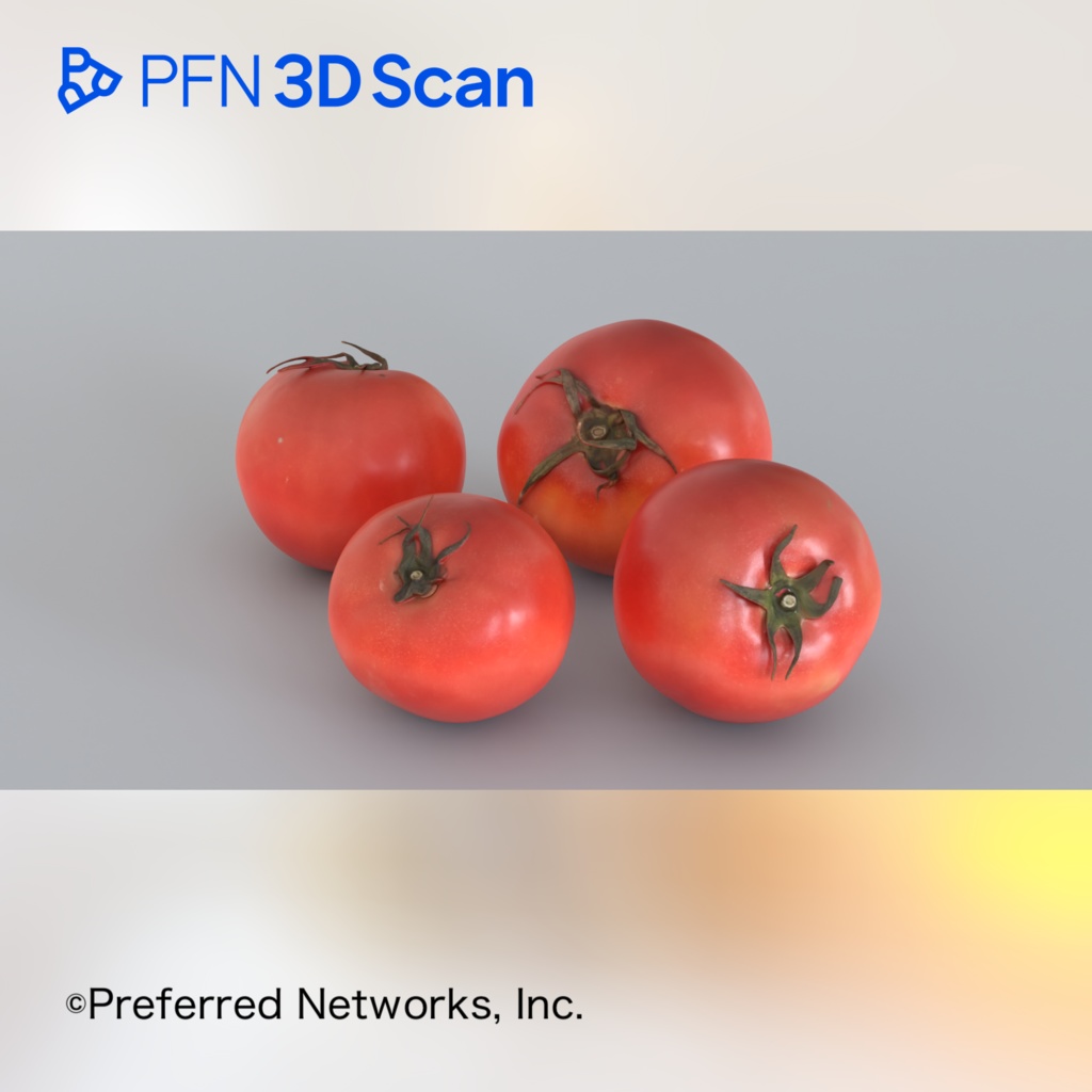 【PFN 3D Scan】トマト（4点セット）