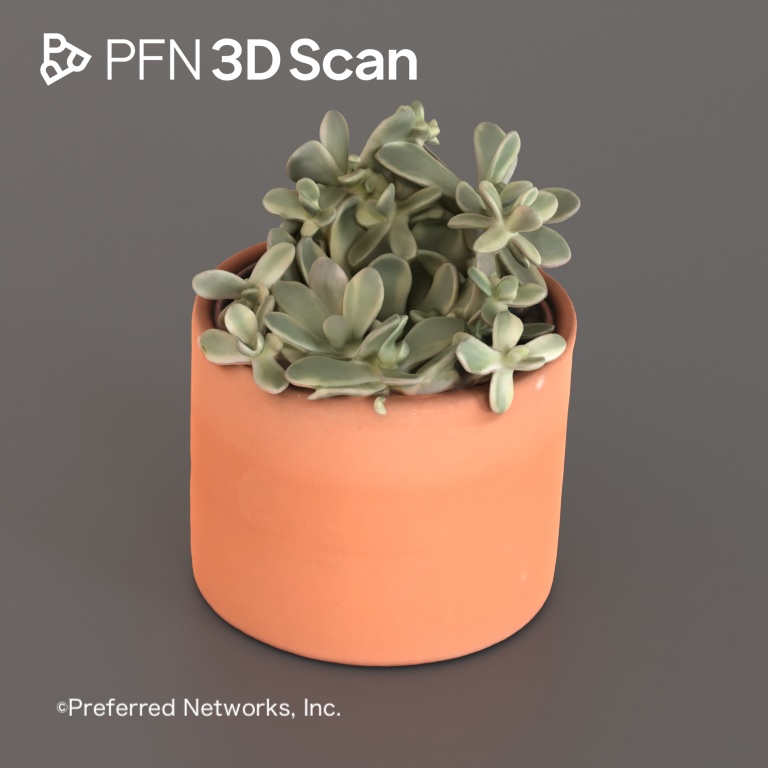 【PFN 3D Scan】多肉植物3