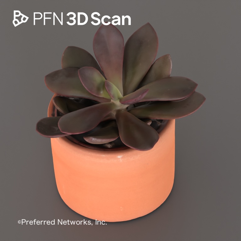 【PFN 3D Scan】多肉植物6
