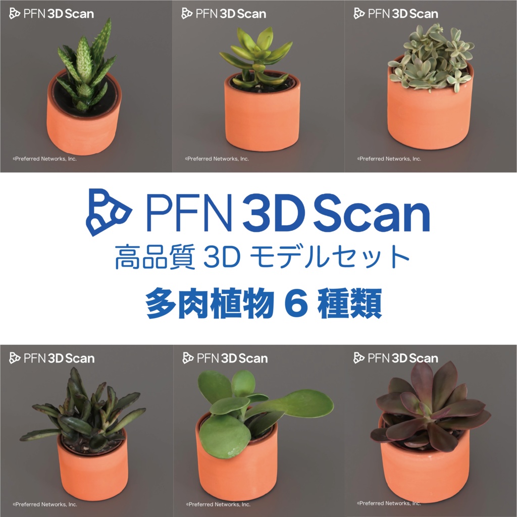 【PFN 3D Scan】多肉植物6種類セット