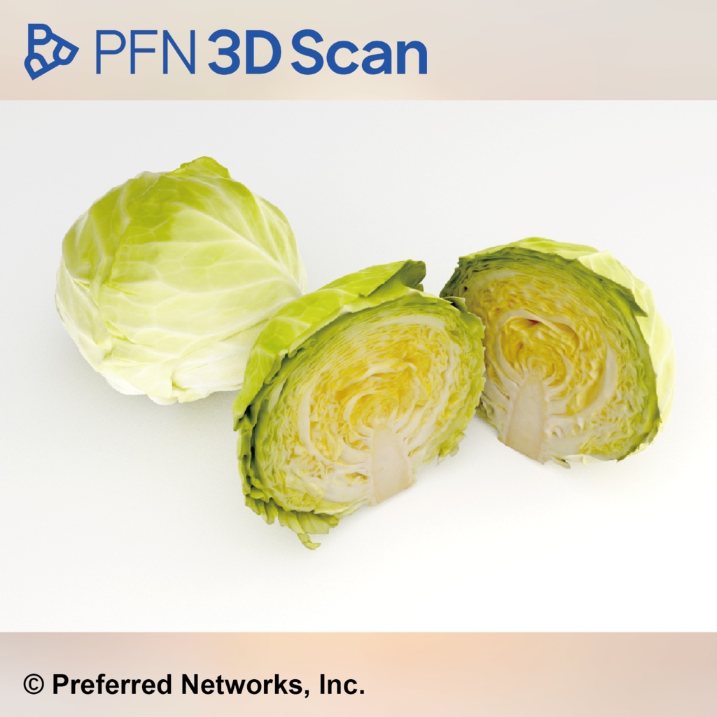 【PFN 3D Scan】キャベツ(3点セット)