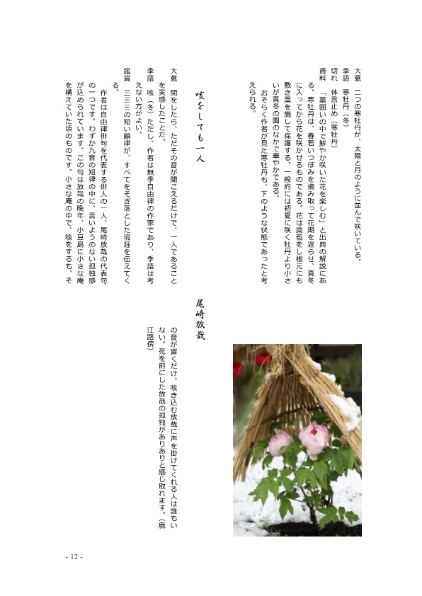 俳句の可能性 俳句を味わう 中学３年 十種神宝 Booth