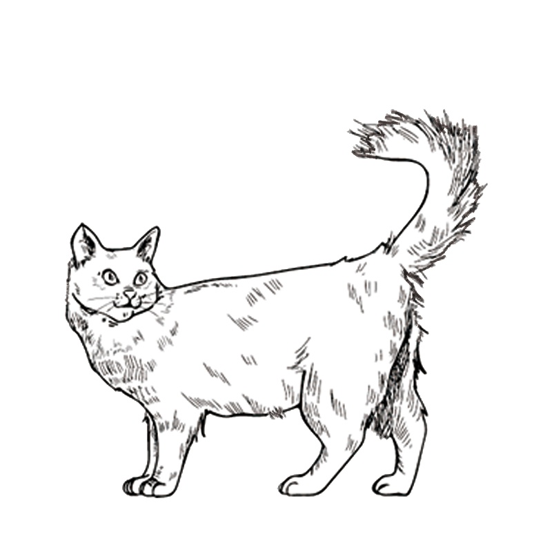 「トブ老人」を遊んだ時の素材|キャラシの作り方02