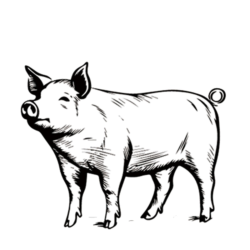 「トブ老人」を遊んだ時の素材|キャラシの作り方02