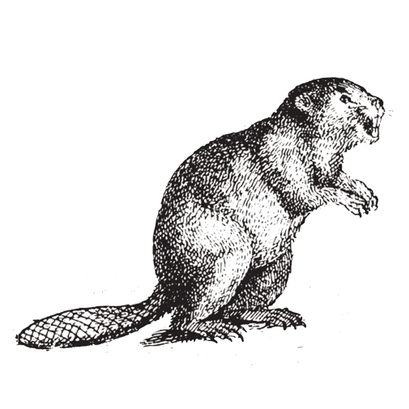 「トブ老人」を遊んだ時の素材|キャラシの作り方02