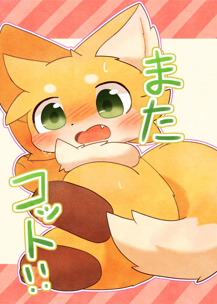またコット！