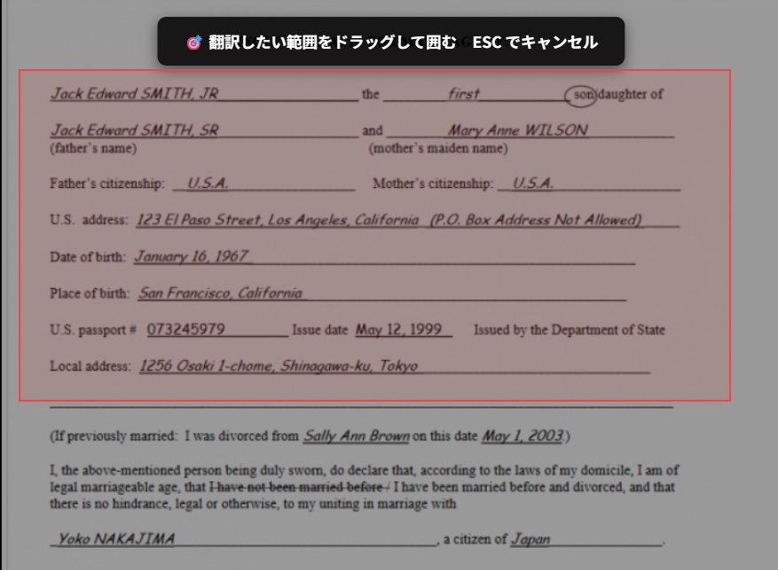 TransLayer — AI公文書翻訳 Chrome拡張機能