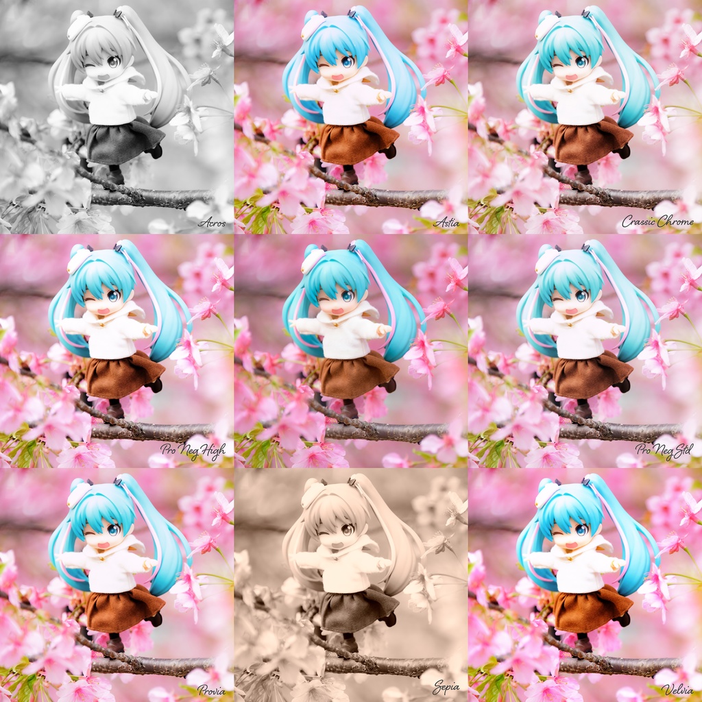 Fuji Film Simulation Profiles for Photoshop