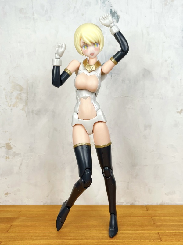 【希望の小鳥】メガミデバイス用 1/12スケールヘッド(デカール付き)