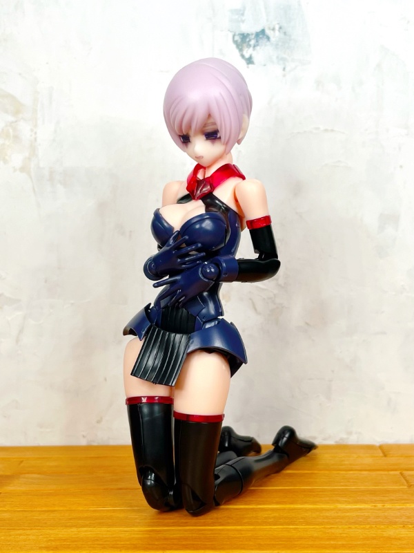 【絶望の小鳥】メガミデバイス用 1/12スケールヘッド(デカール付き)