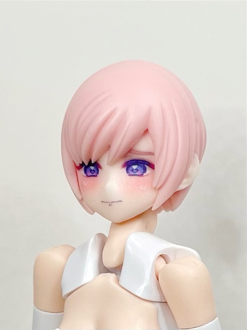 【劣情の小鳥】メガミデバイス用 1/12スケールヘッド(デカール付き