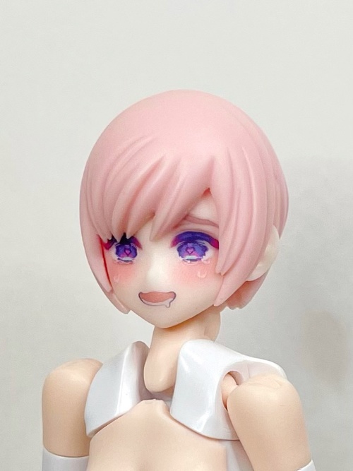 【劣情の小鳥】メガミデバイス用 1/12スケールヘッド(デカール付き