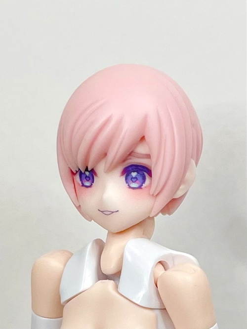 【劣情の小鳥】メガミデバイス用 1/12スケールヘッド(デカール付き