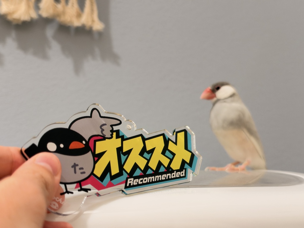 たんちき“オススメ”のアクキー