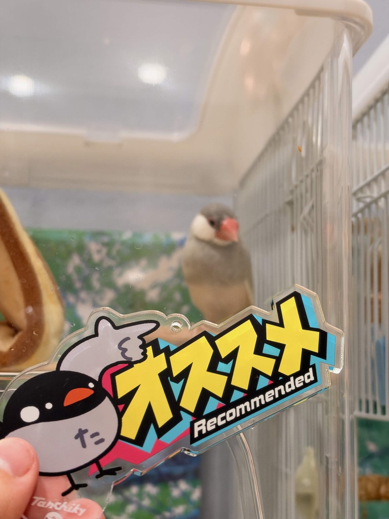 たんちき“オススメ”のアクキー