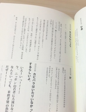 冊子『セドナ・アーカイブ 追想の旅2005 (上)』