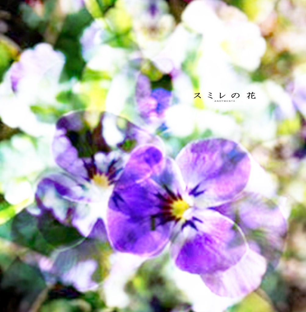 音楽アルバム『スミレの花』