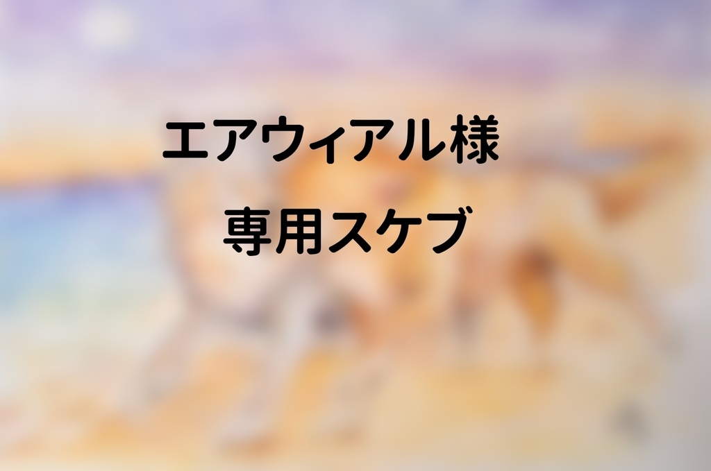エアウィアル様専用スケブ